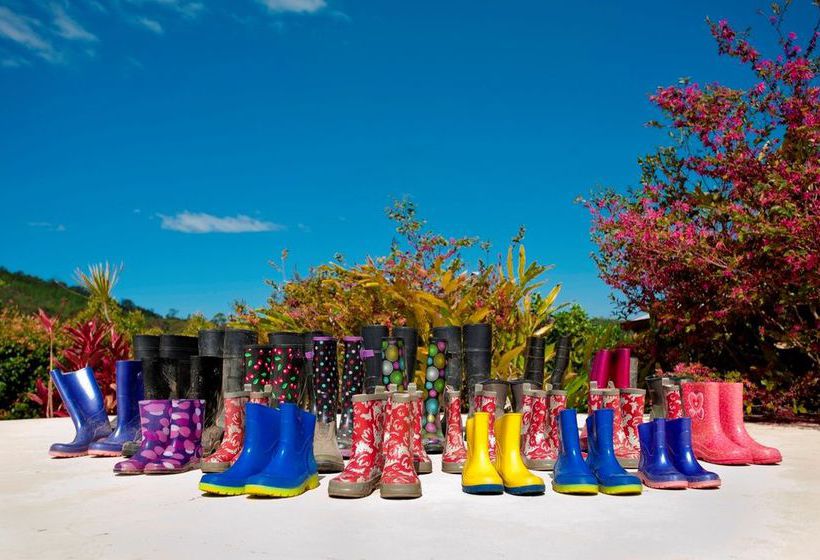 Jacaranda Creek Farmstay & Bed And Breakfast | Eumundi | Queensland | Australia 17