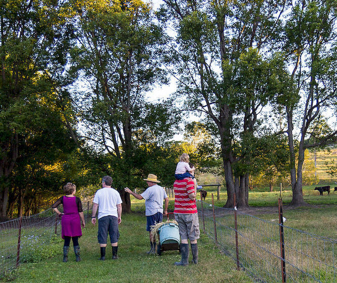 Jacaranda Creek Farmstay & Bed And Breakfast | Eumundi | Queensland | Australia 19