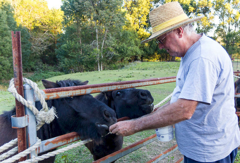 Jacaranda Creek Farmstay & Bed And Breakfast | Eumundi | Queensland | Australia 5