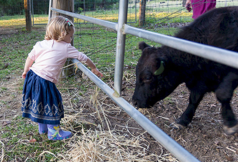 Jacaranda Creek Farmstay & Bed And Breakfast | Eumundi | Queensland | Australia 6