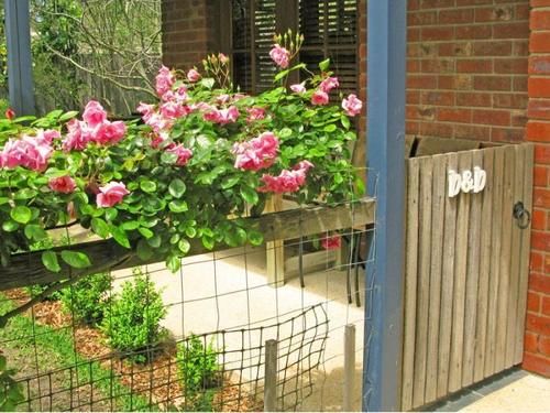 Roseneath Villa B&b | Point Lonsdale | Victoria | Australia 4