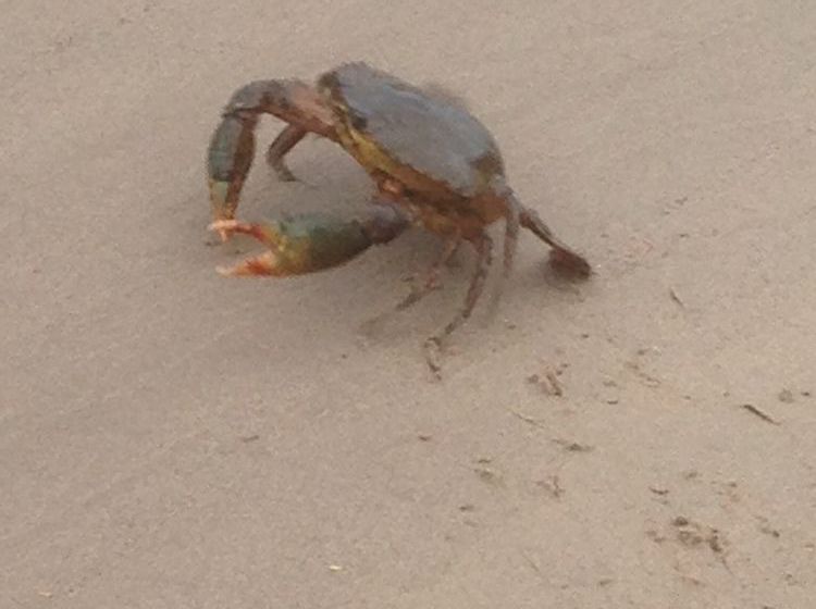 Saltwater Villas | Mooloolaba | Queensland | Australia 13