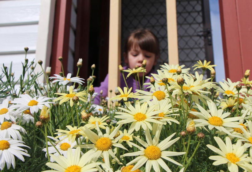 Warrnambool Holiday Park And Motel | Warrnambool | Victoria | Australia 19