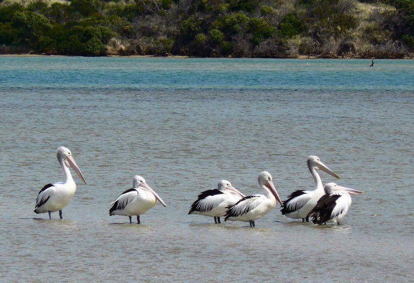 Pelican Bay Bed And Breakfast | Coles Bay | Tasmania | Australia 3