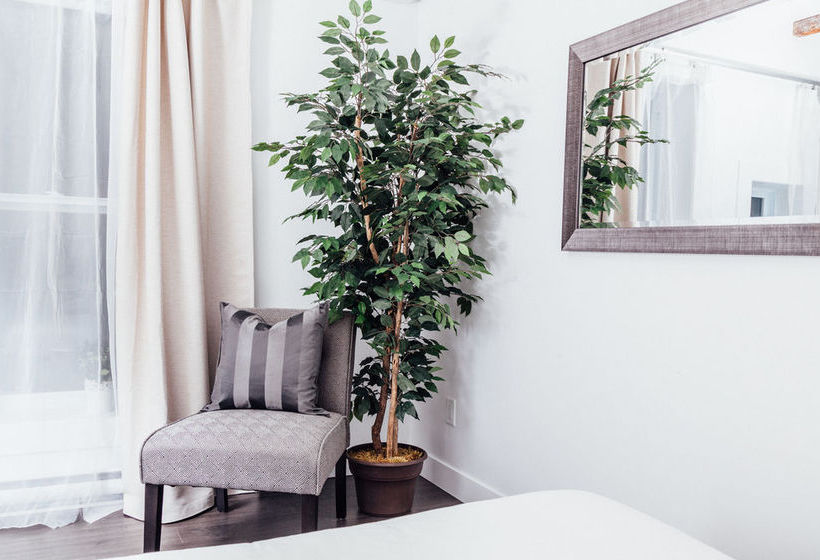 Leqube Apartments | Montreal | Quebec | Canada 11