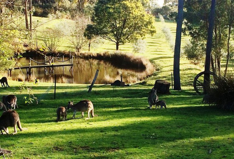 Countryside Connections Studio Hepburn Springs | Hepburn Springs | Victoria | Australia 14