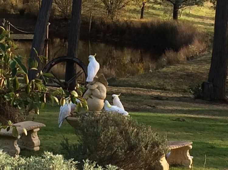 Countryside Connections Studio Hepburn Springs | Hepburn Springs | Victoria | Australia 15