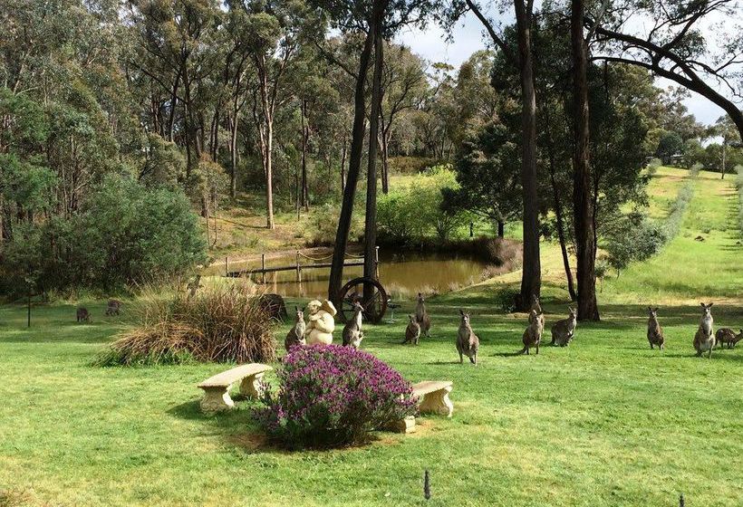 Countryside Connections Studio Hepburn Springs | Hepburn Springs | Victoria | Australia 7