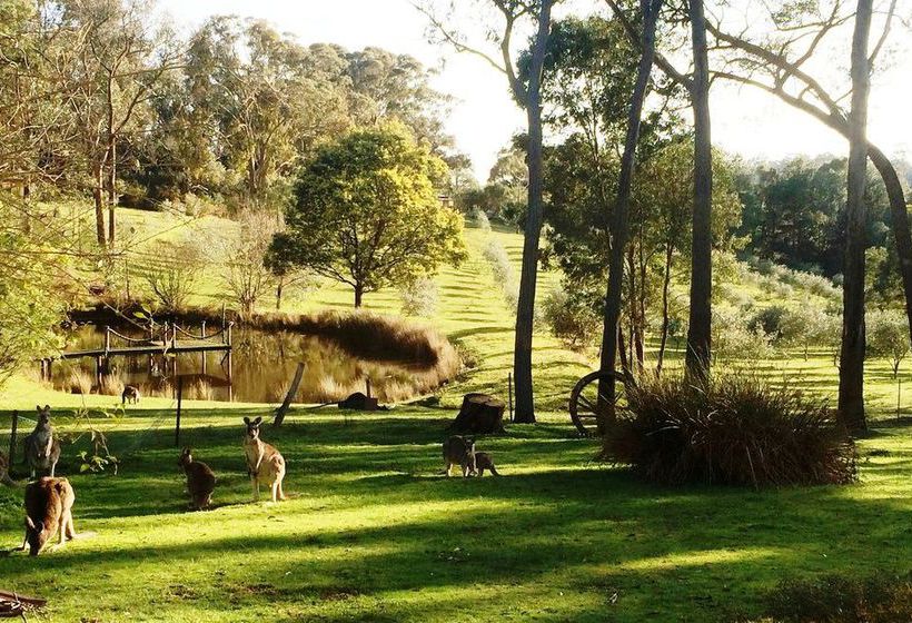 Countryside Connections Studio Hepburn Springs | Hepburn Springs | Victoria | Australia 9