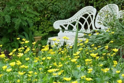 Winter-rose Cottage B&b | Bathurst | New South Wales | Australia 8