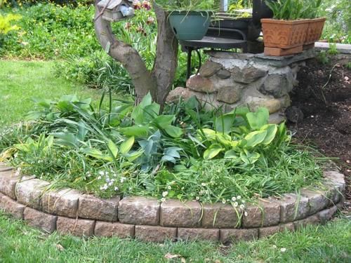 Winter-rose Cottage B&b | Bathurst | New South Wales | Australia 9