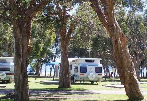 Hotel Budgewoi Holiday Park | Budgewoi | New South Wales | Australia 19