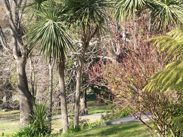 Bed and Breakfast Lucinda Bandb | Latrobe | Tasmania | Australia 13