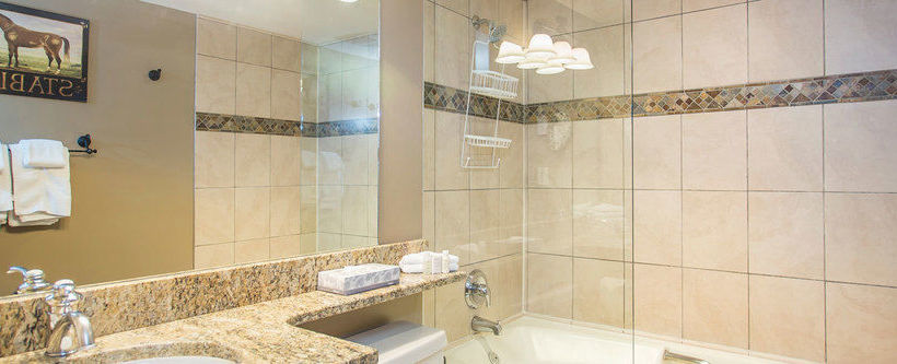 Hotel Carleton Lodge | Whistler | British Columbia | Canada 13