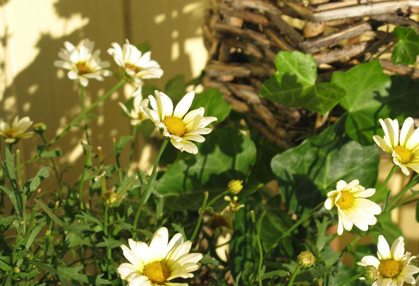 Motel Banbridge Inn | Charlottetown | Prince Edward Island | Canada 8