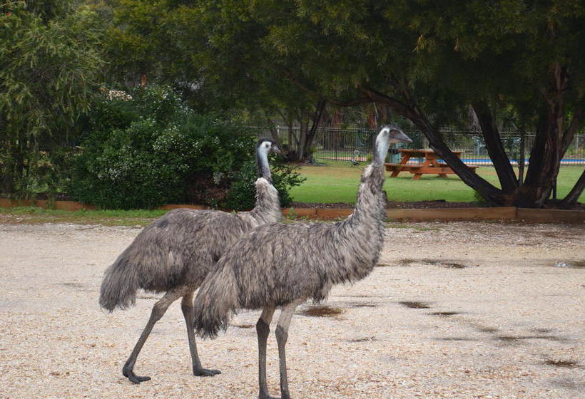 Motel Mountain View Motor Inn & Lodges | Halls Gap | Victoria | Australia 10