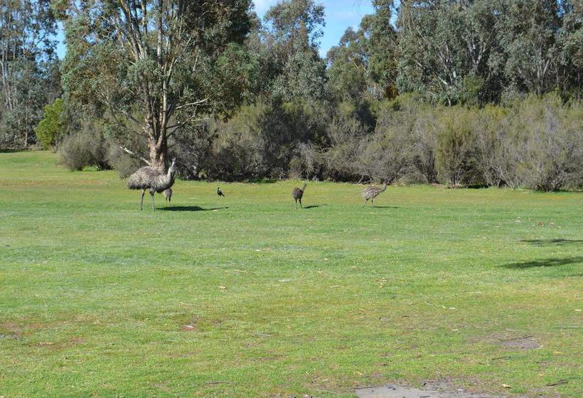 Motel Mountain View Motor Inn & Lodges | Halls Gap | Victoria | Australia 15