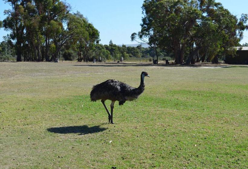 Motel Mountain View Motor Inn & Lodges | Halls Gap | Victoria | Australia 17