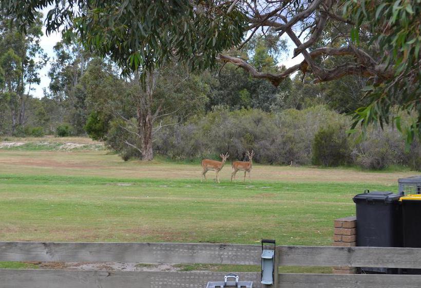 Motel Mountain View Motor Inn & Lodges | Halls Gap | Victoria | Australia 18
