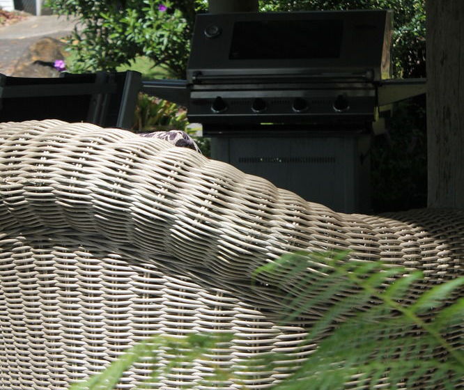 Buderim Fiesta Motel | Tanawha | Queensland | Australia 17