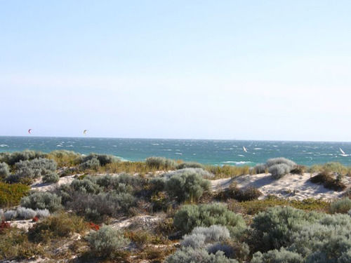 Scarborough & Absolutely Beachfront | Scarborough | Western Australia | Australia 17