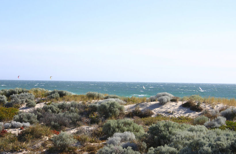 Scarborough & Absolutely Beachfront | Scarborough | Western Australia | Australia 20