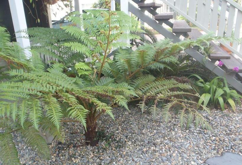 Driftwood Bed & Breakfast | Mission Beach | Queensland | Australia 16