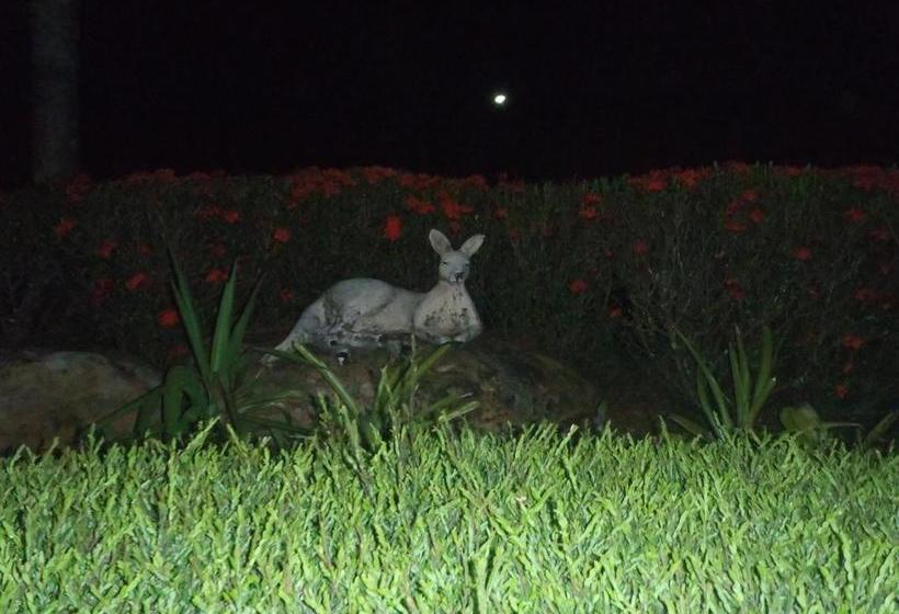 Driftwood Bed & Breakfast | Mission Beach | Queensland | Australia 18