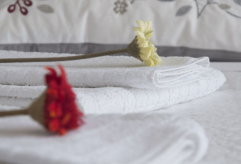 St Kilda Hostel | Saint Kilda | Victoria | Australia 17