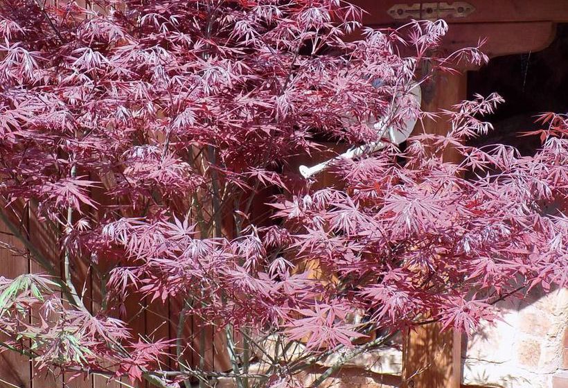 Motel Emerald Tower Motor Inn | Emerald | Queensland | Australia 6