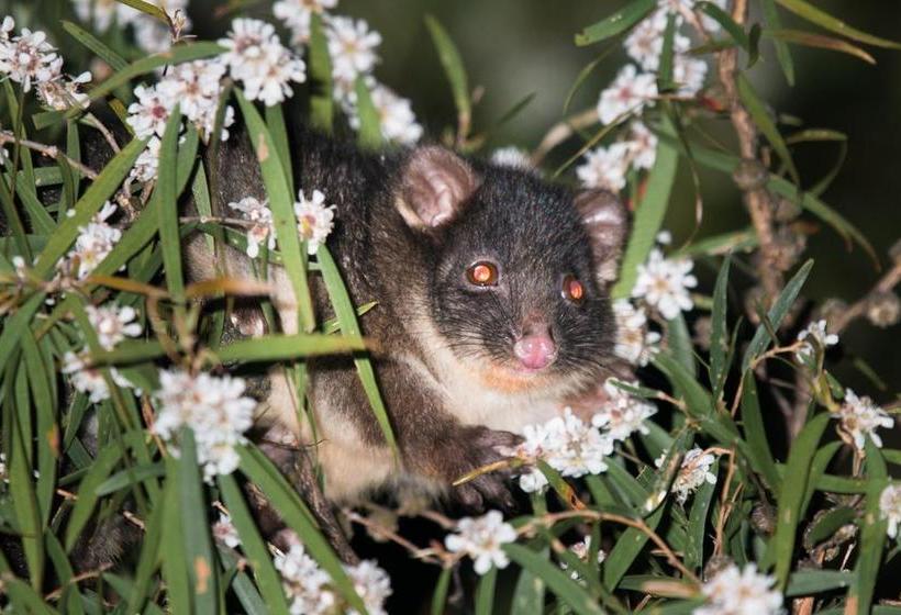 Big Grove B & B | Big Grove | Western Australia | Australia 1