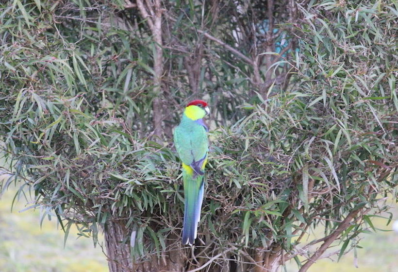 Big Grove B & B | Big Grove | Western Australia | Australia 14