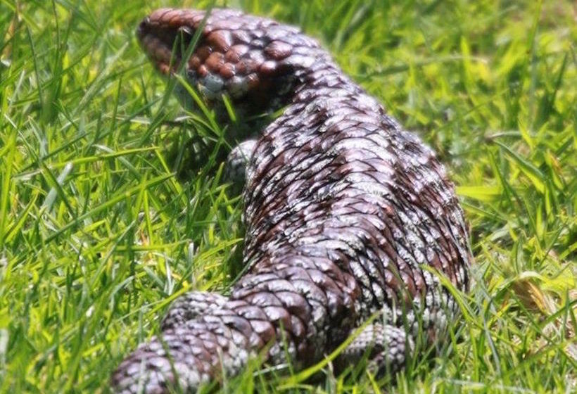 Big Grove B & B | Big Grove | Western Australia | Australia 15