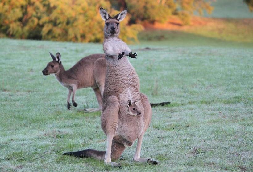 Big Grove B & B | Big Grove | Western Australia | Australia 2