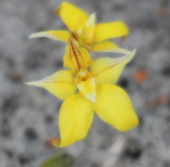 Big Grove B & B | Big Grove | Western Australia | Australia 8