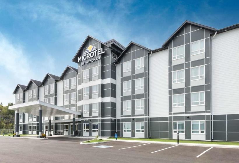 Microtel Inn & Suites By Wyndham Sudbury Sudbury Ontario