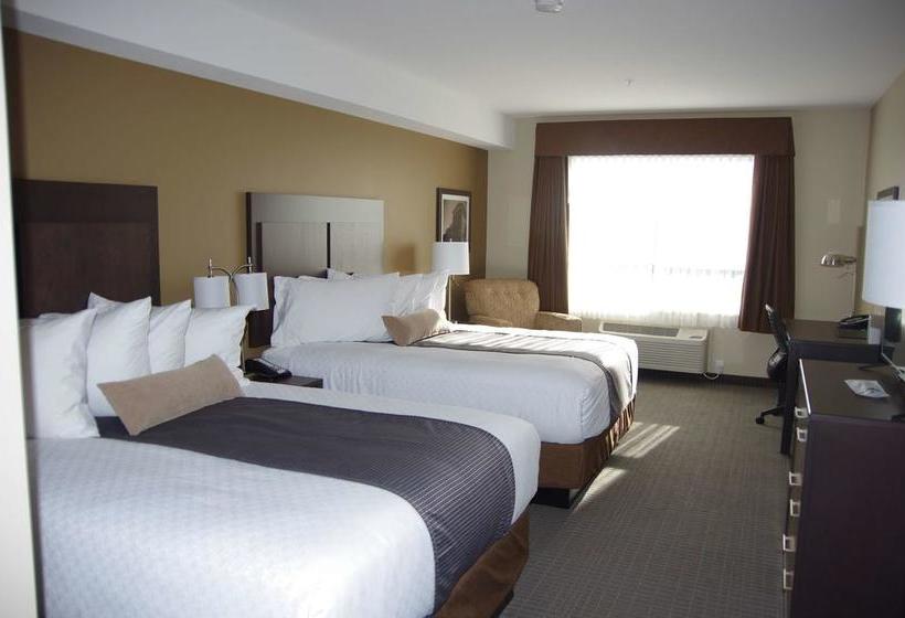 Hotel Best Western Plus Lacombe Inn & Suites | Red Deer | Alberta | Canada 8