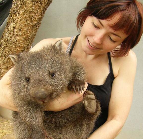 Hotel Daintree Wild Zoo Bed & Breakfast | Daintree | Queensland | Australia 15