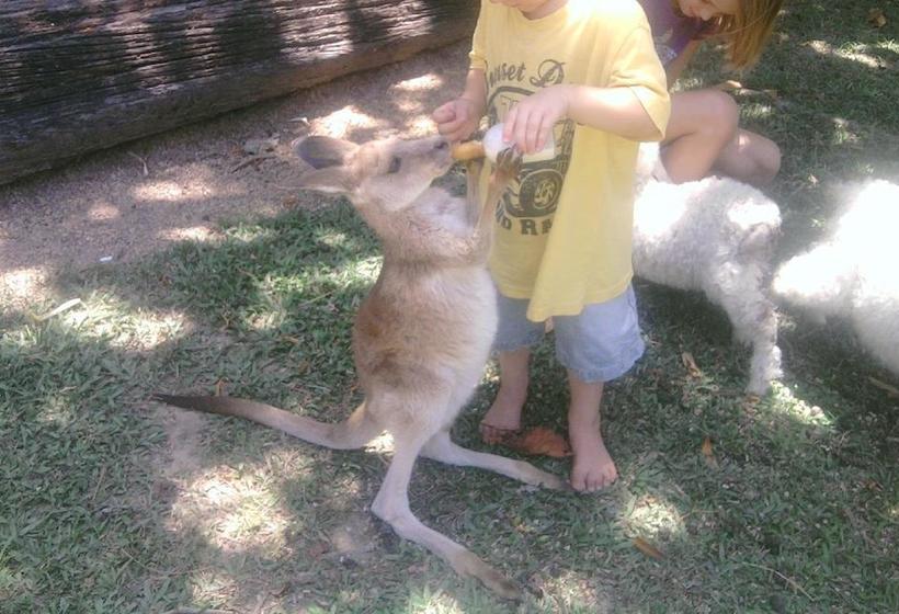 Hotel Daintree Wild Zoo Bed & Breakfast | Daintree | Queensland | Australia 18