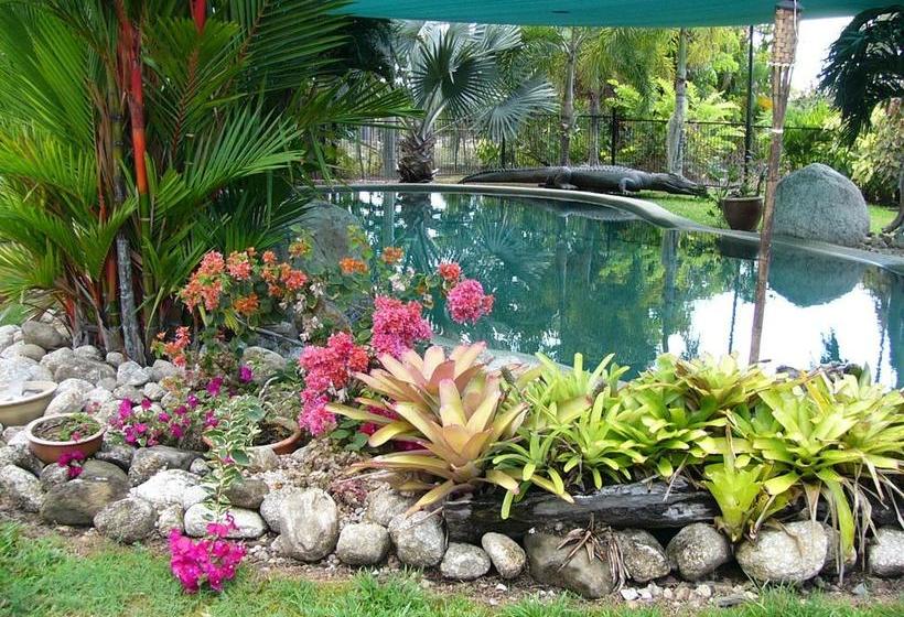 Hotel Daintree Wild Zoo Bed & Breakfast | Daintree | Queensland | Australia 3