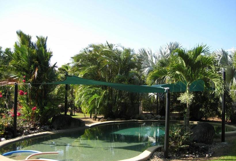 Hotel Daintree Wild Zoo Bed & Breakfast | Daintree | Queensland | Australia 5