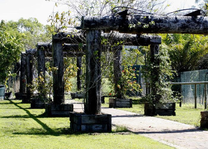 Hotel Daintree Wild Zoo Bed & Breakfast | Daintree | Queensland | Australia 8