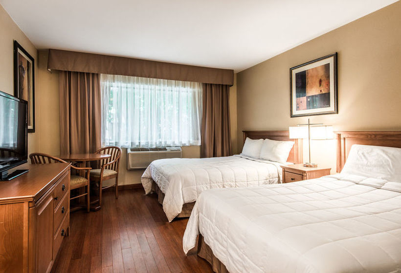 Hôtel Newstar | Montreal | Québec | Hôtels au Canada 13