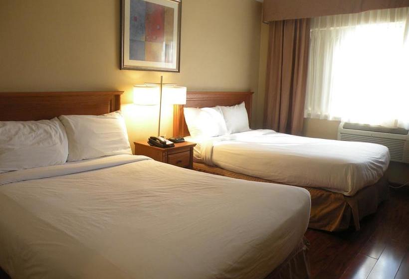 Hôtel Newstar | Montreal | Québec | Hôtels au Canada 7