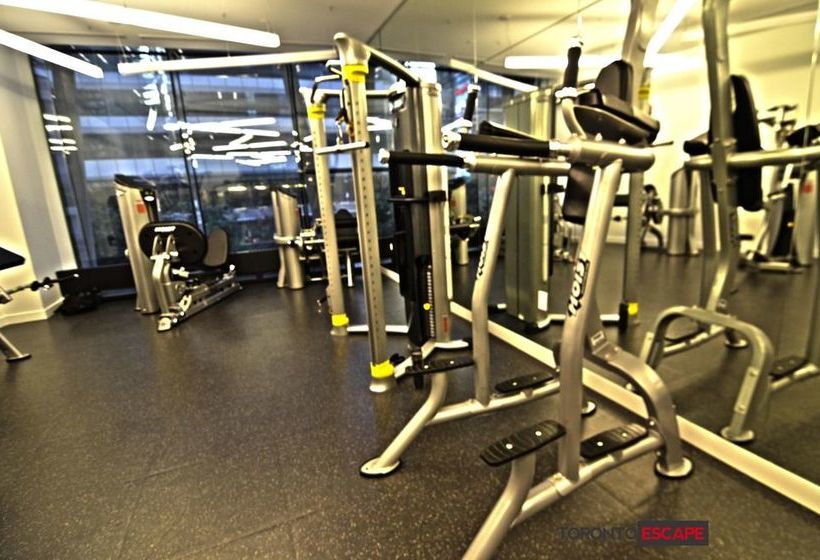 Toronto Escape Financial District | Toronto | Ontario | Canada 19