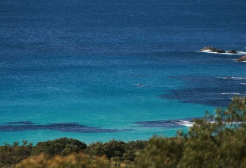 Bremer Bay Bed & Breakfast | Bremer Bay | Western Australia | Australia 13