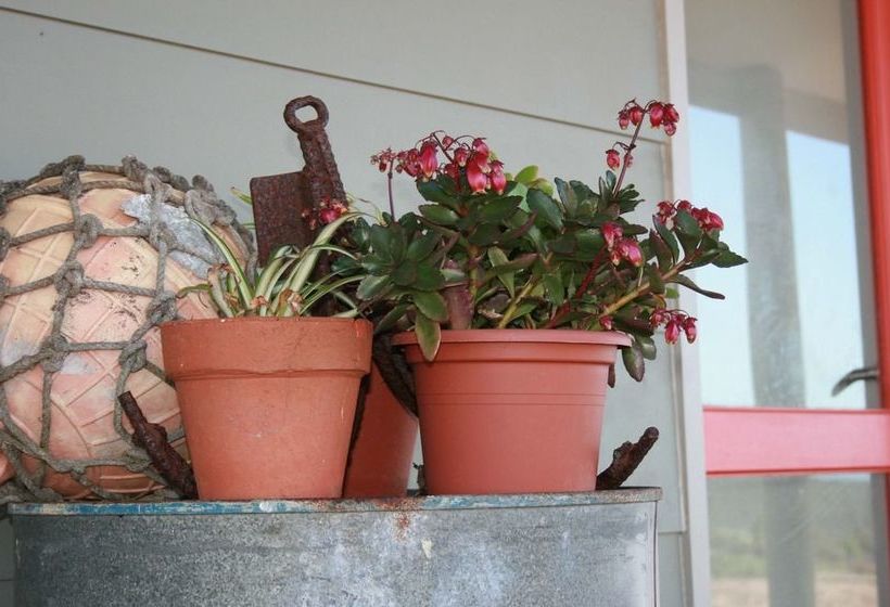 Bremer Bay Bed & Breakfast | Bremer Bay | Western Australia | Australia 20