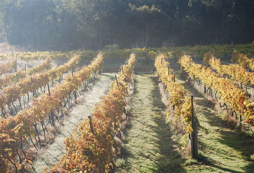 Twisted Gum Cottage | Ballandean | Queensland | Australia 9