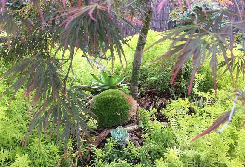 Pension Corner Manor Leura | Leura | New South Wales | Australia 2