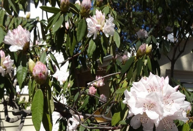 Pension Corner Manor Leura | Leura | New South Wales | Australia 4